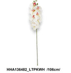 HHA136482_LTPKWH