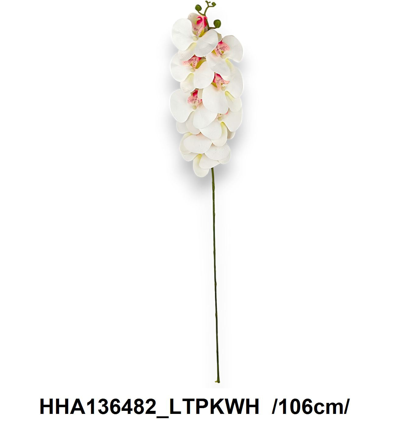 HHA136482_LTPKWH