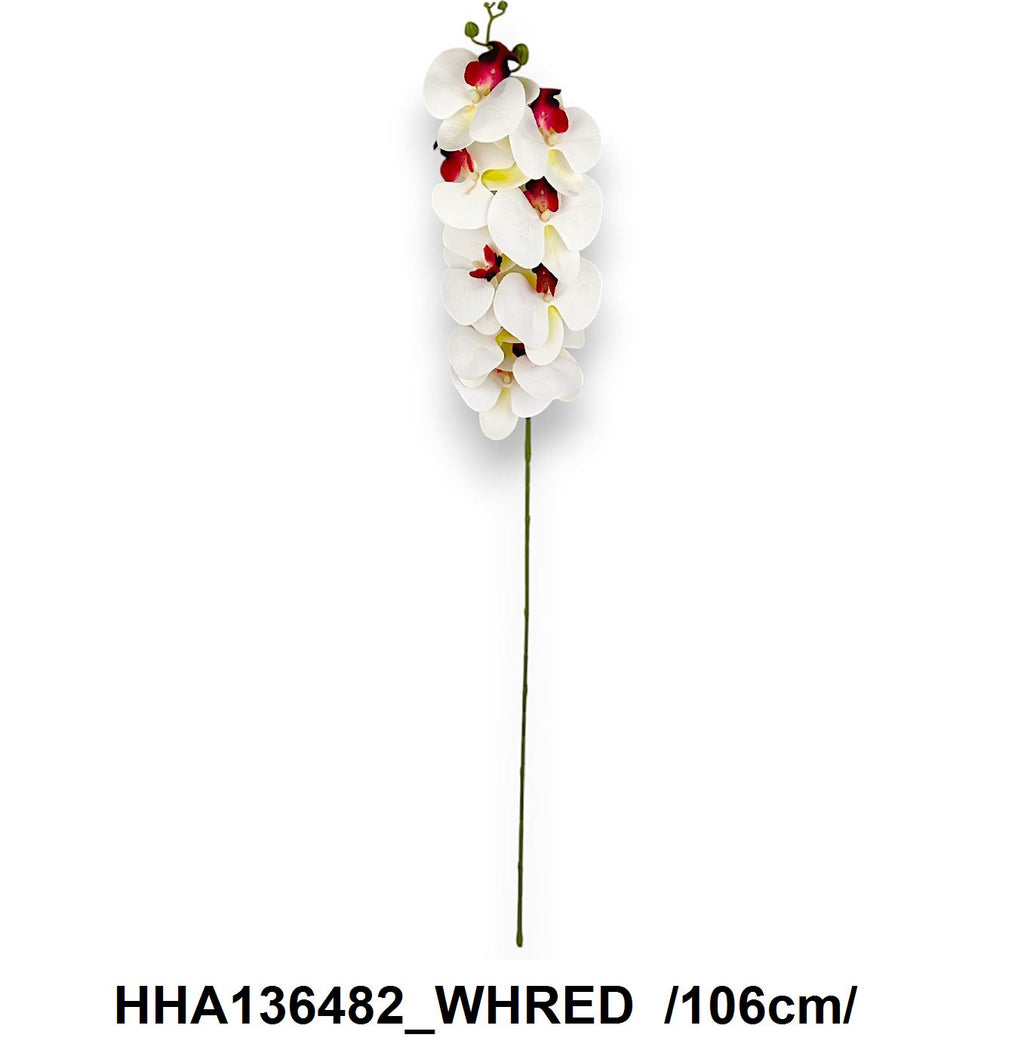 HHA136482_WHRED