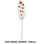 HHA136482_WHRED