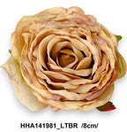 HHA141981_LTBR