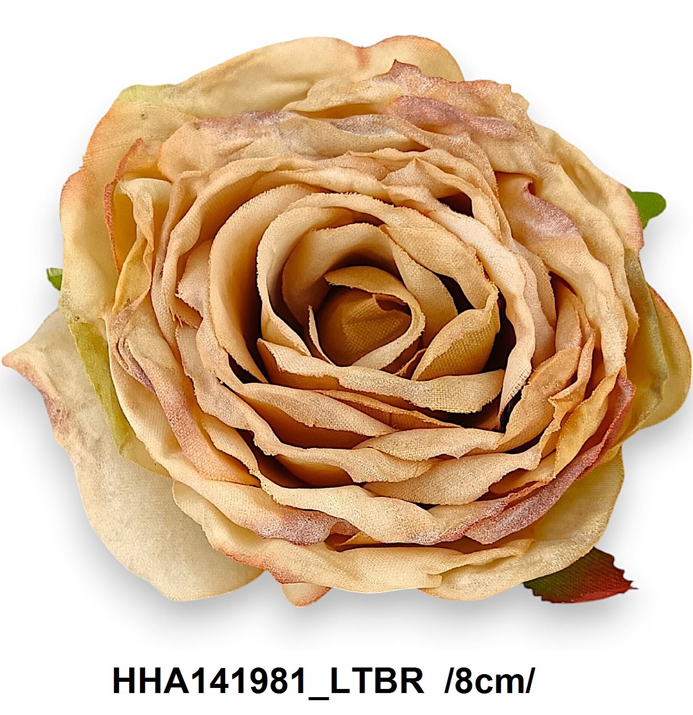 HHA141981_LTBR