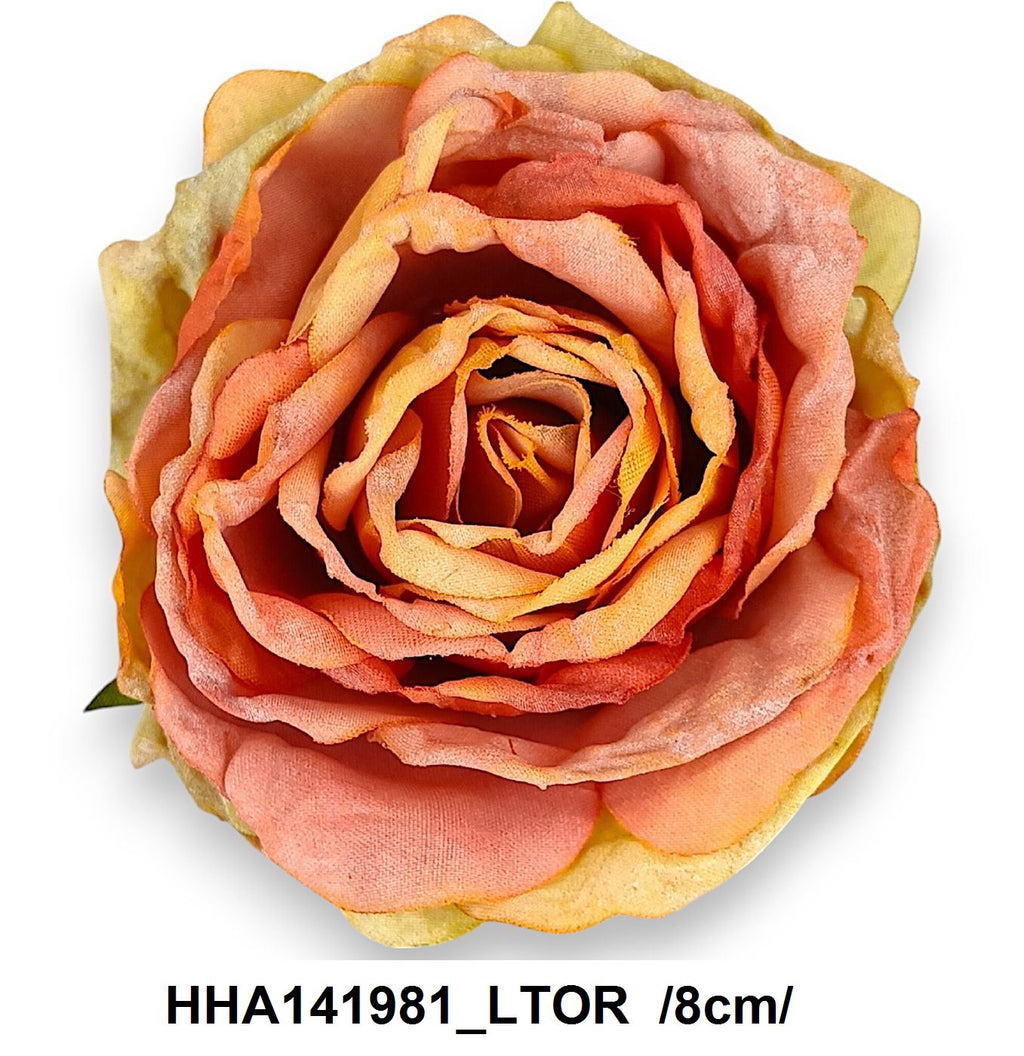 HHA141981_LTOR