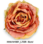 HHA141981_LTOR