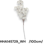 HHA145729_WH