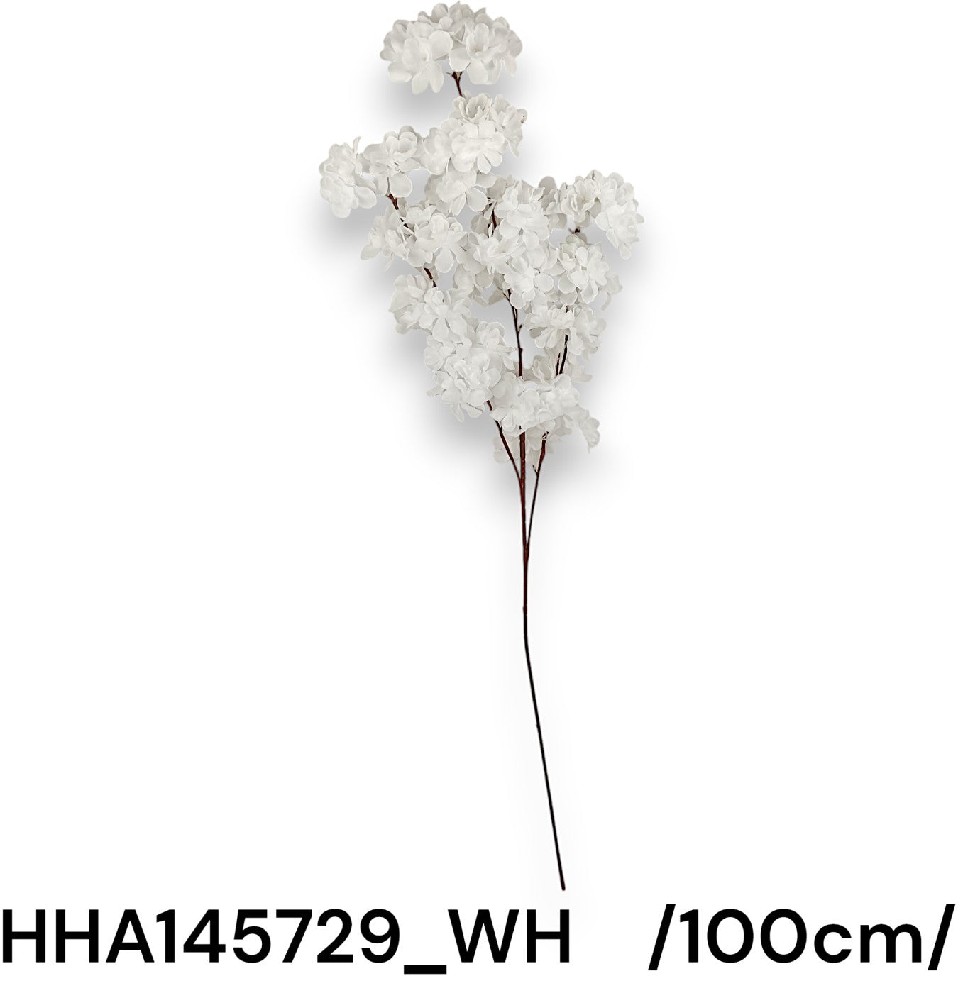HHA145729_WH