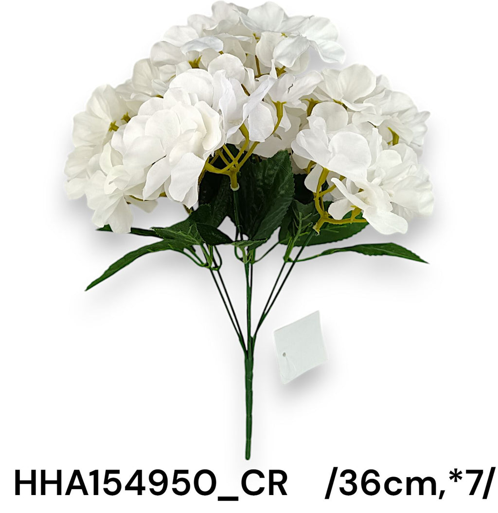 HHA154950_CR