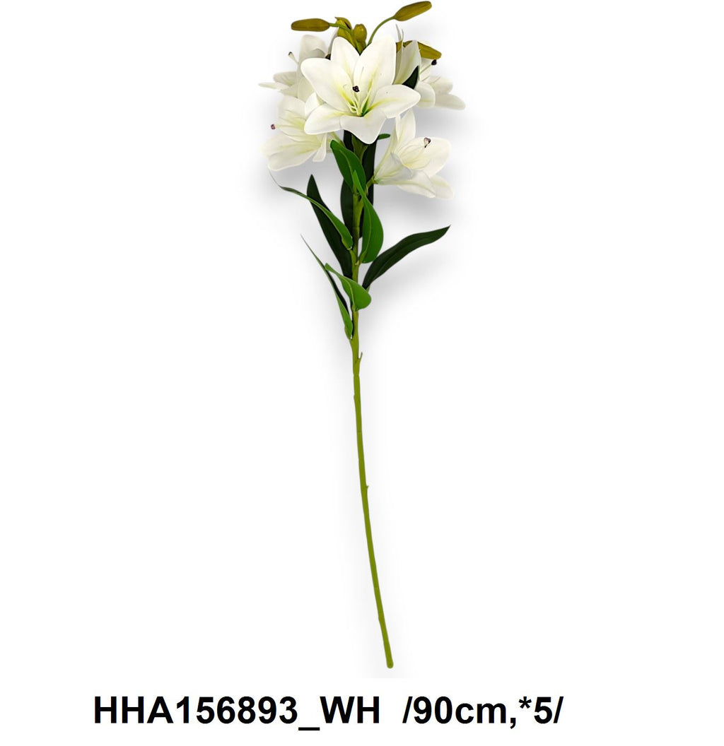 HHA156893_WH