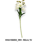HHA156893_WH