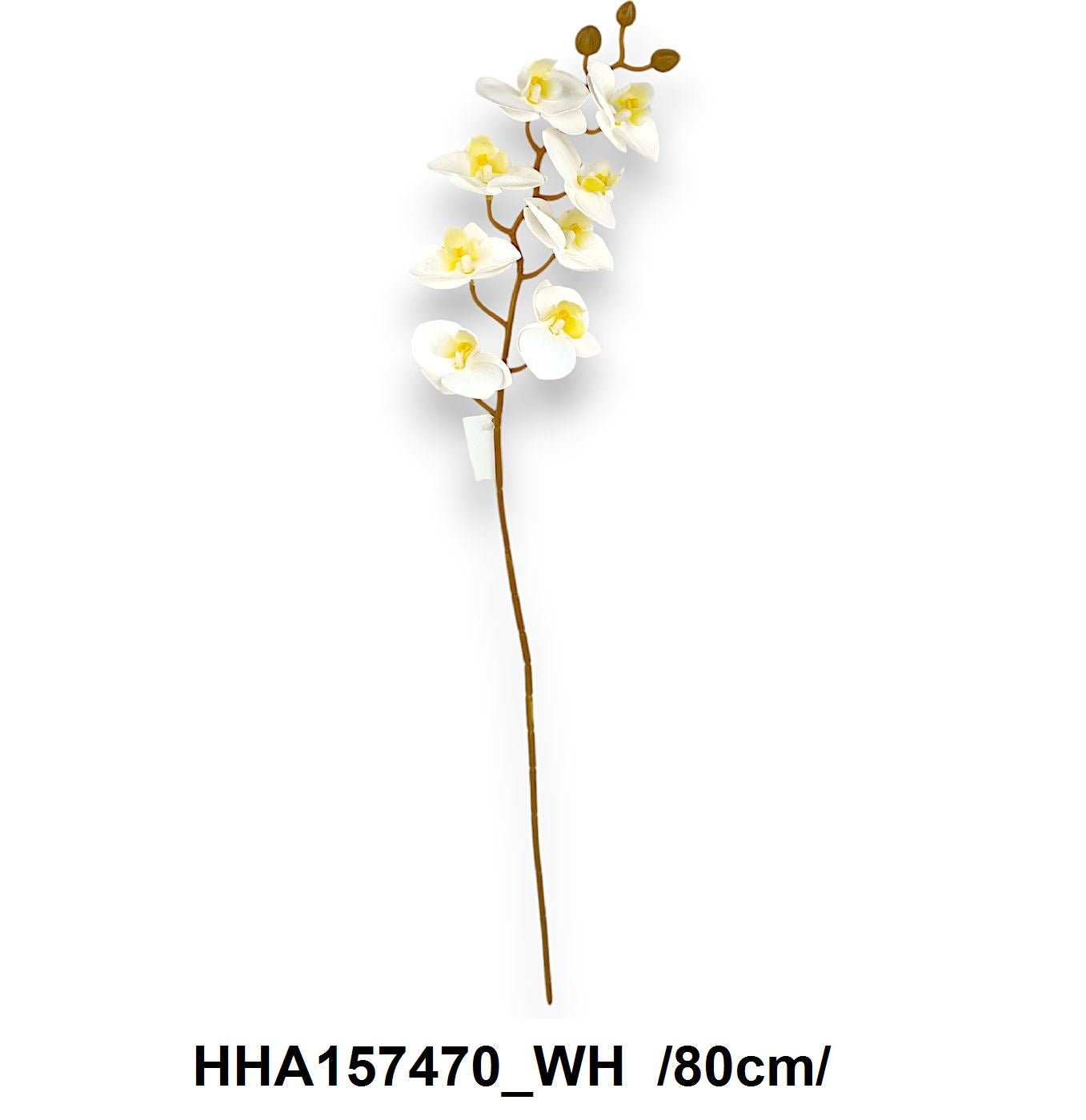 80 cm szálas RT. orchidea