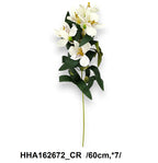 HHA162672_CR