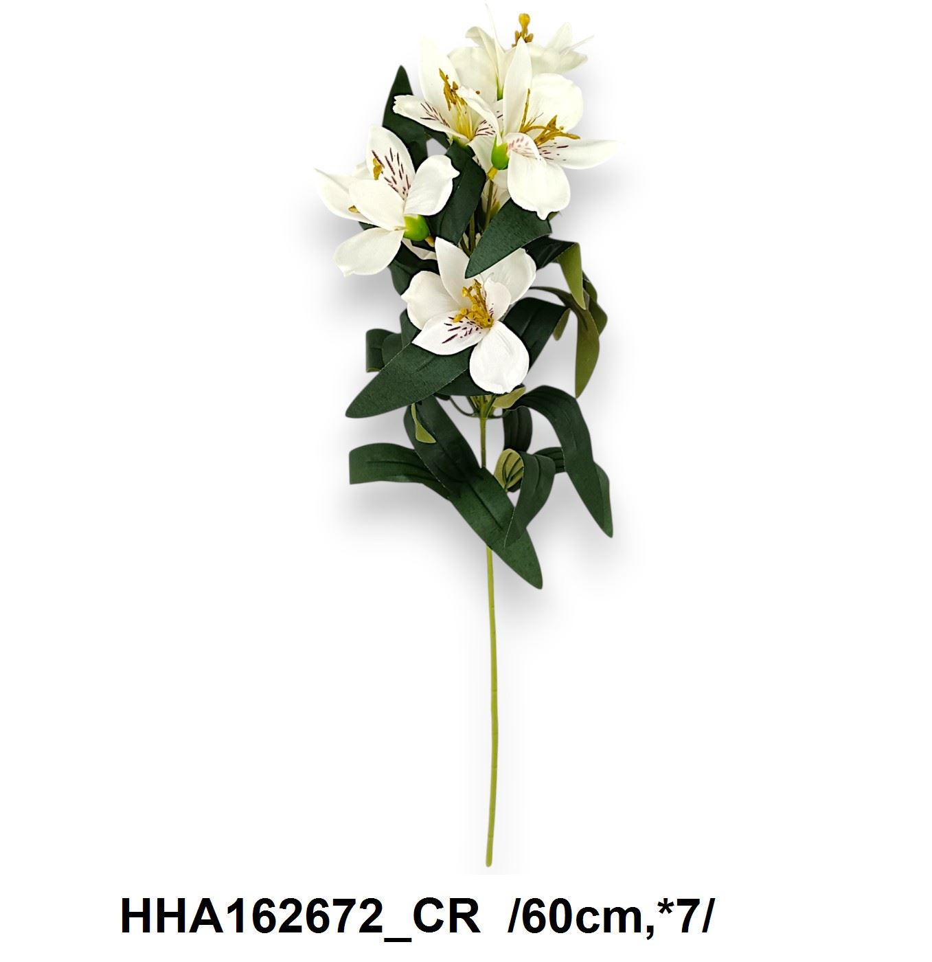 HHA162672_CR