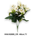 HHA162689_CR