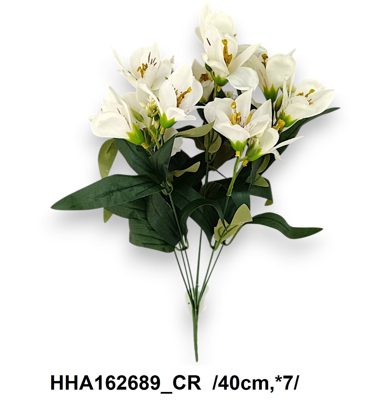 HHA162689_CR