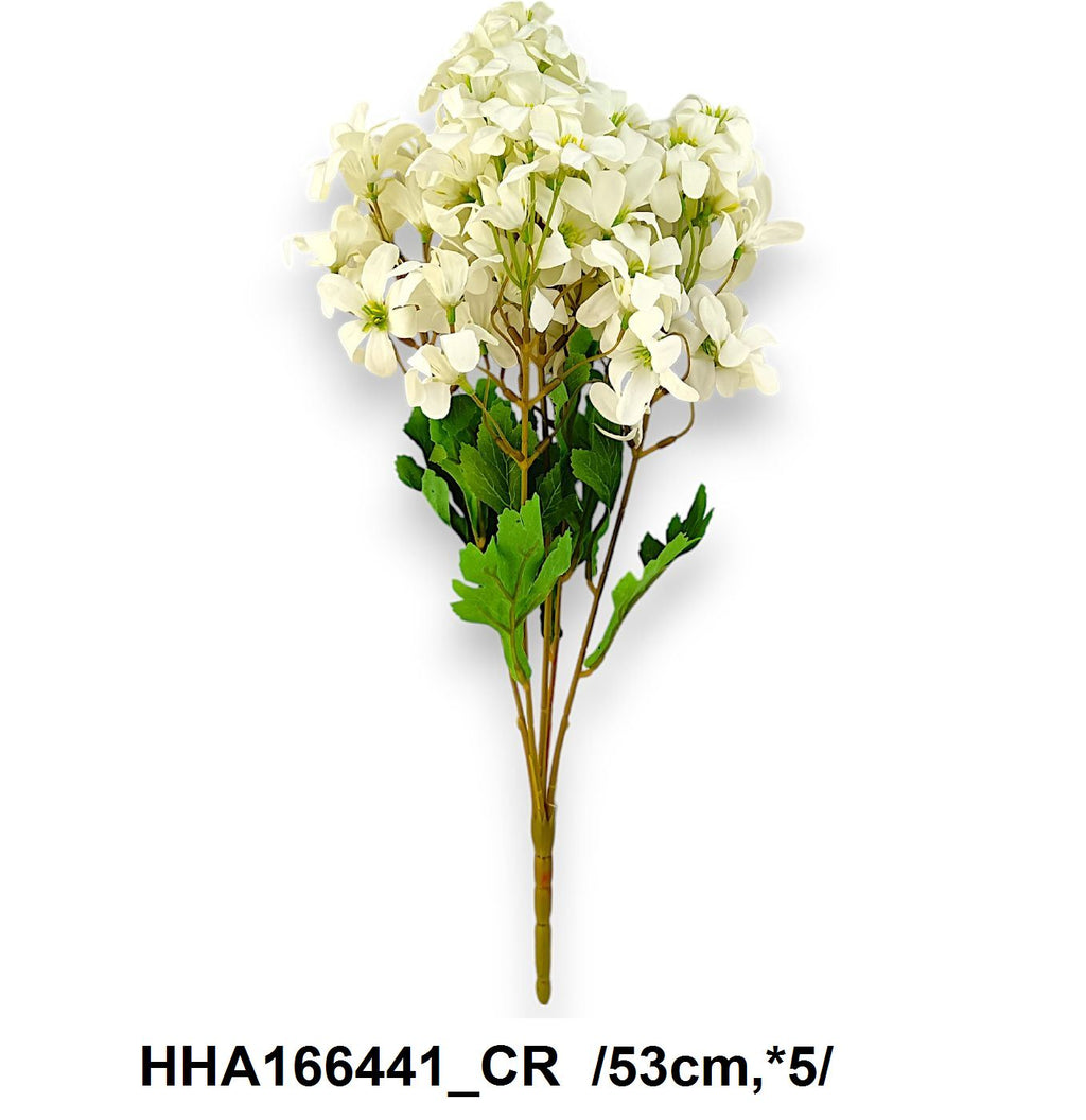 HHA166441_CR