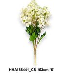 HHA166441_CR
