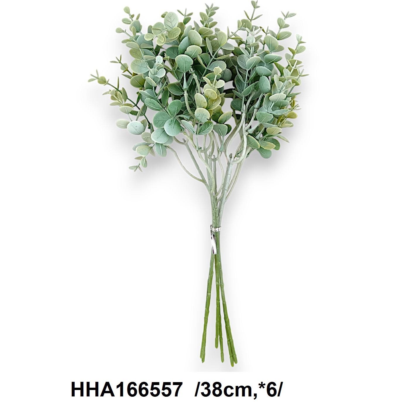 Hamvas eukaliptusz köteg /38cm,*6/ Fő kép