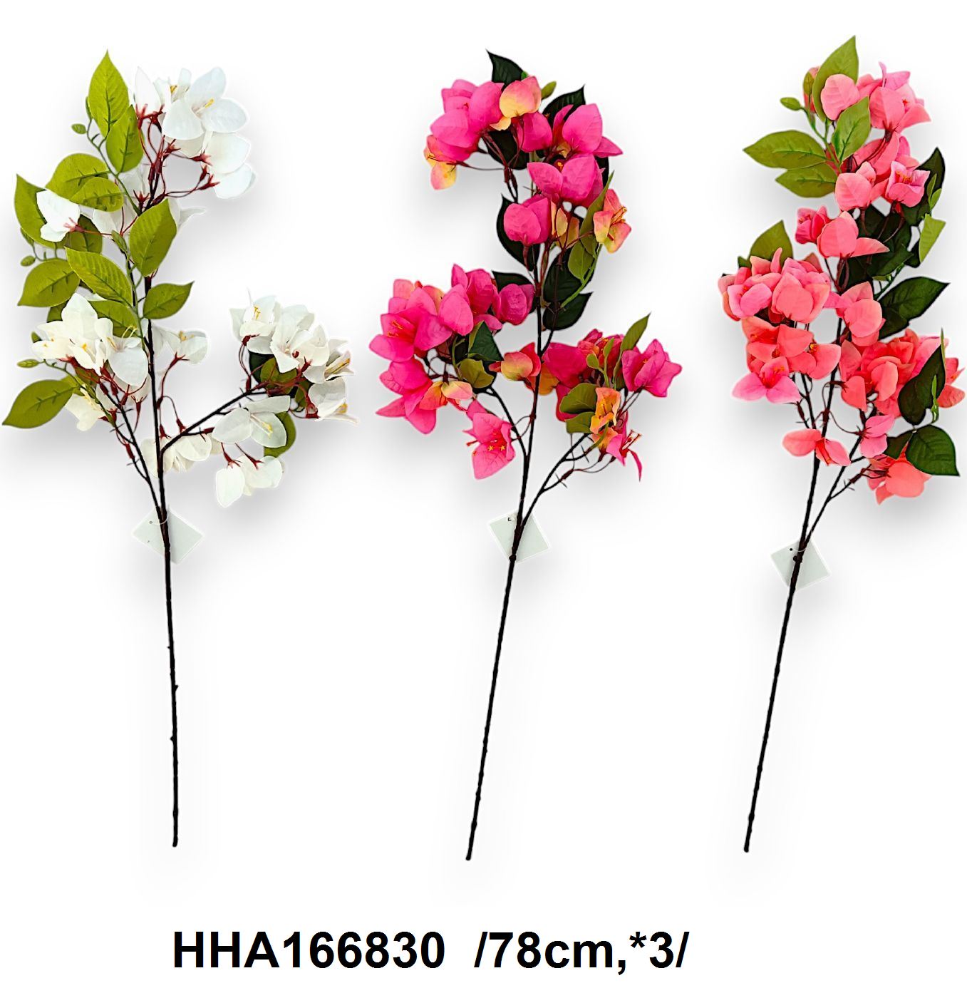 Szálas bougainvillea /78cm,*3/ Fő kép