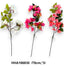 Szálas bougainvillea /78cm,*3/