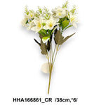 HHA166861_CR