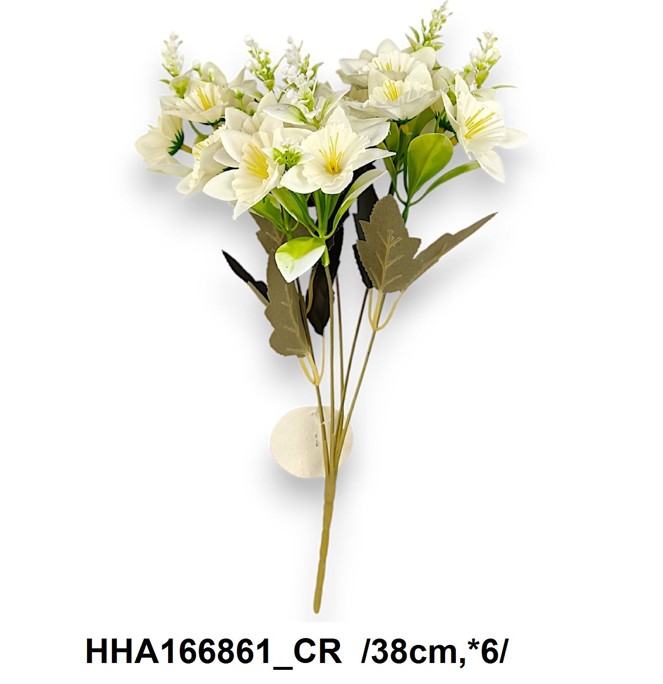 HHA166861_CR
