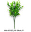 Eukaliptuszbokor  /34cm,*7/