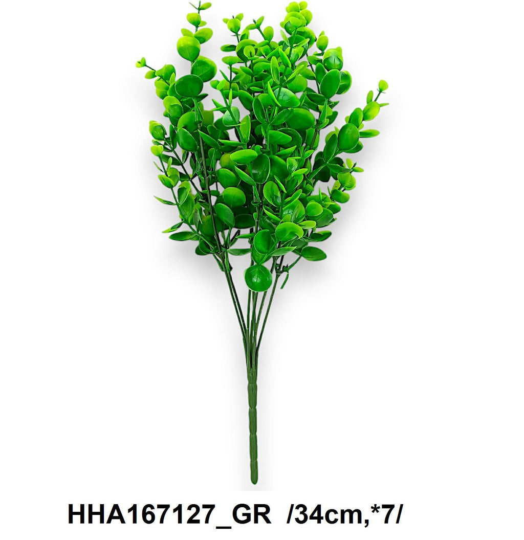 HHA167127_GR
