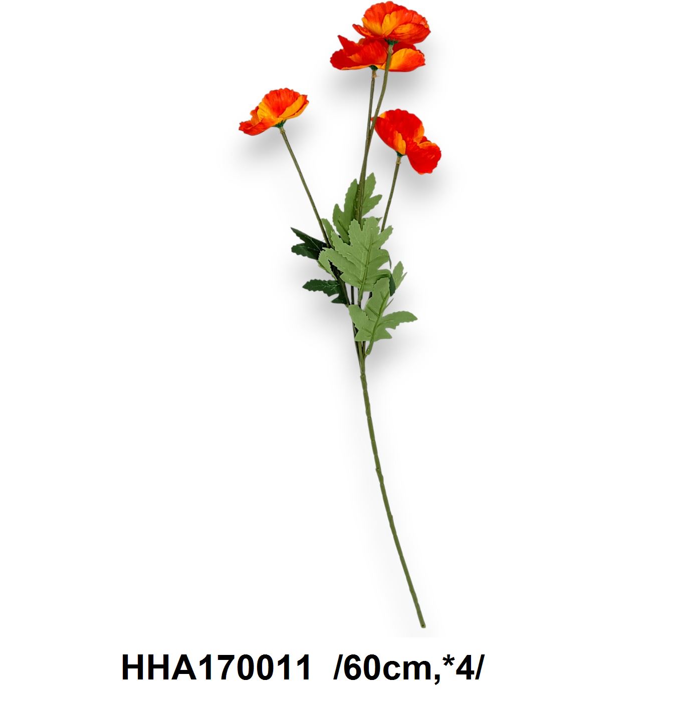 Szálas pipacs /60cm,*4/ Fő kép