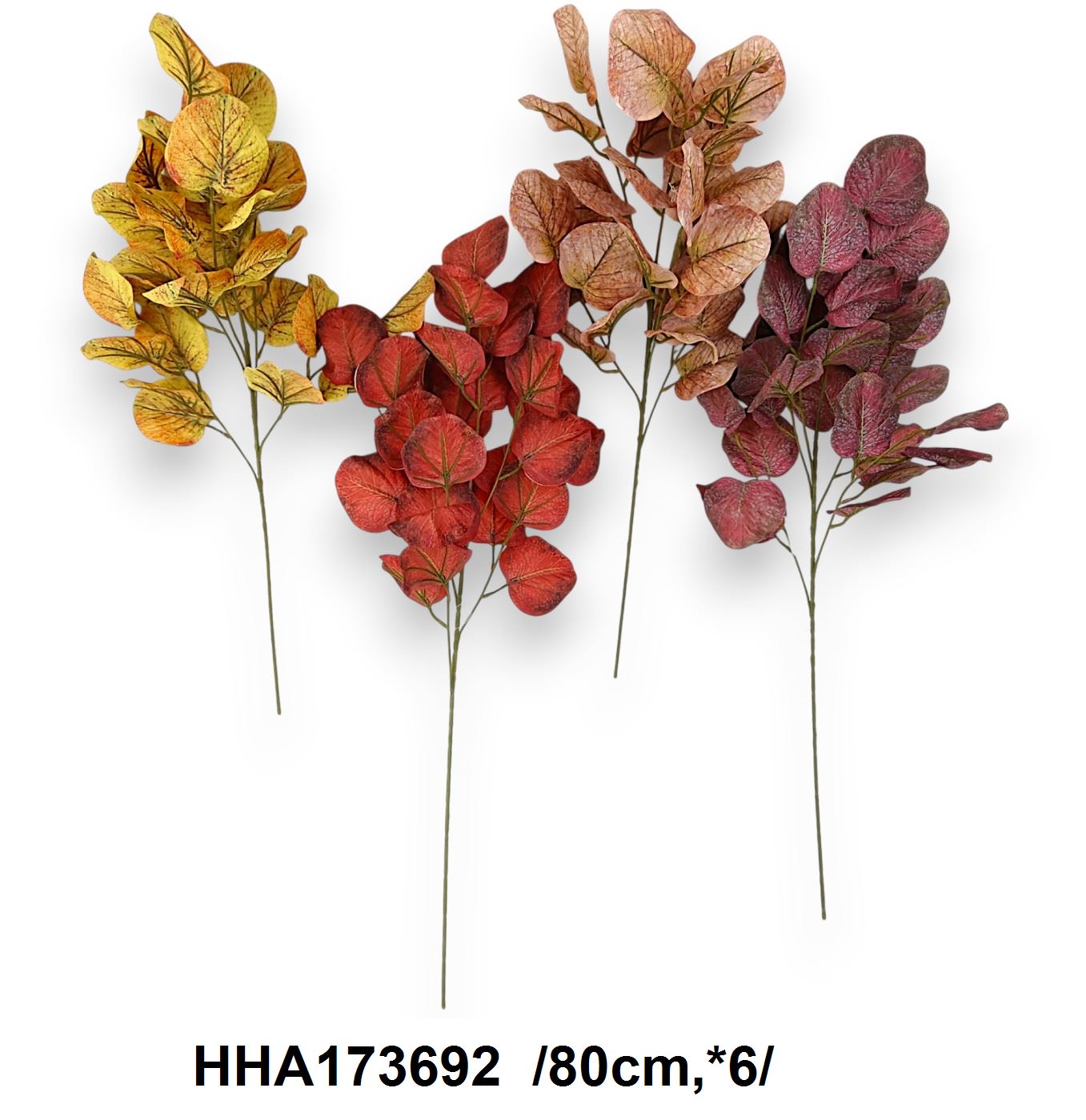 Szálas eukaliptusz ág /80cm,*6/ Fő kép