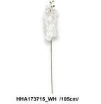 HHA173715_WH