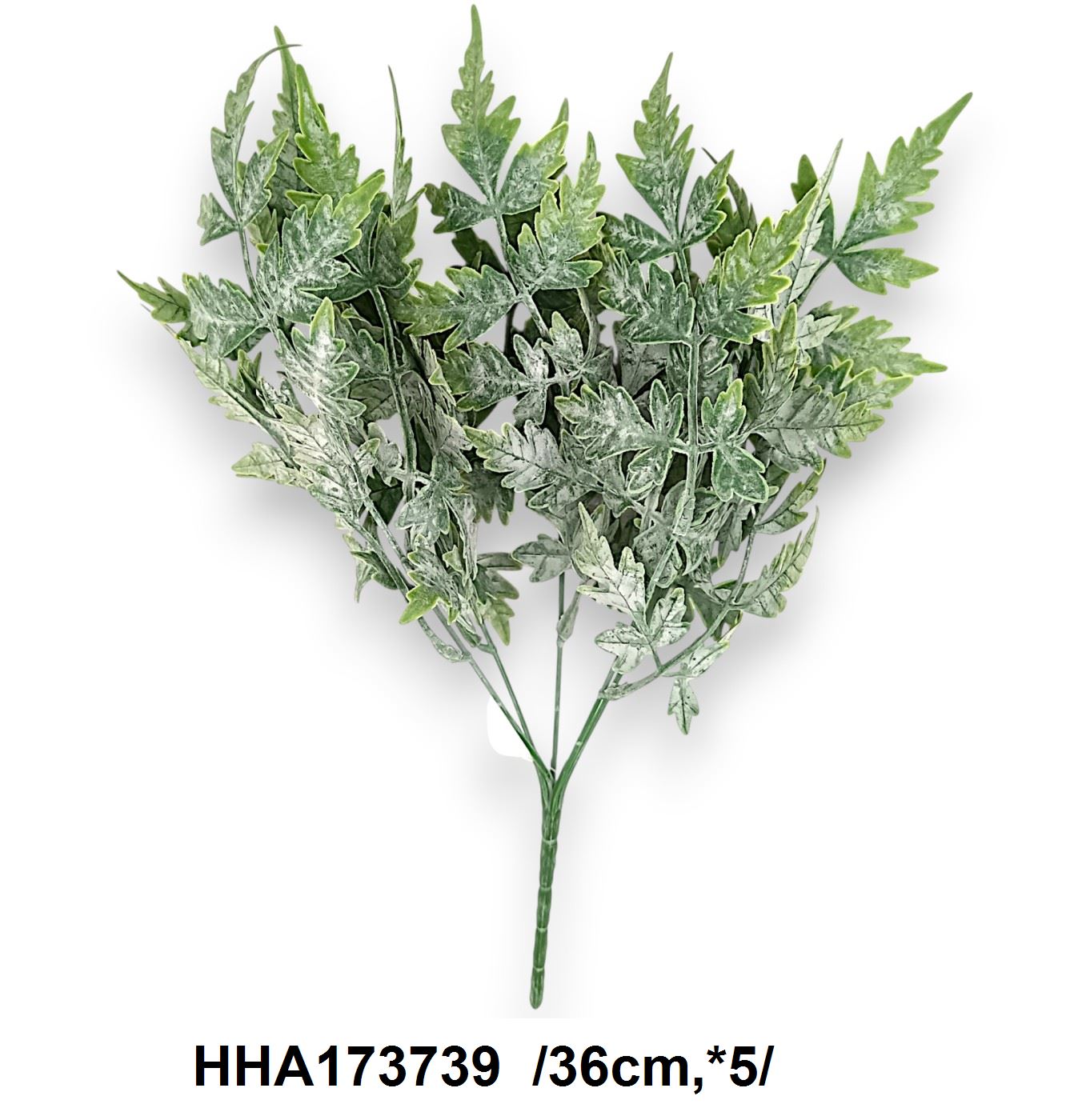 Hamvas páfránybokor /36cm,*5/ Fő kép