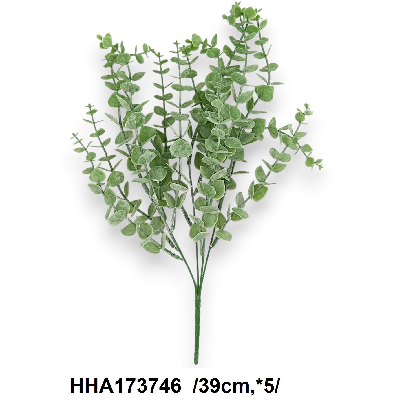 Hamvas eukaliptusz bokor /39cm,*5/ Fő kép