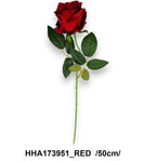 HHA173951_RED