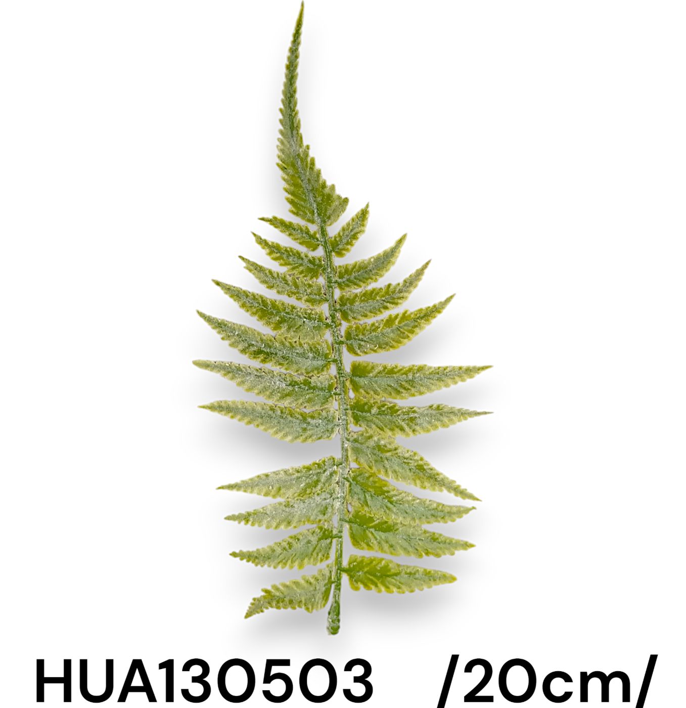 Flokkolt hamvas páfránylevél /20cm/ Fő kép