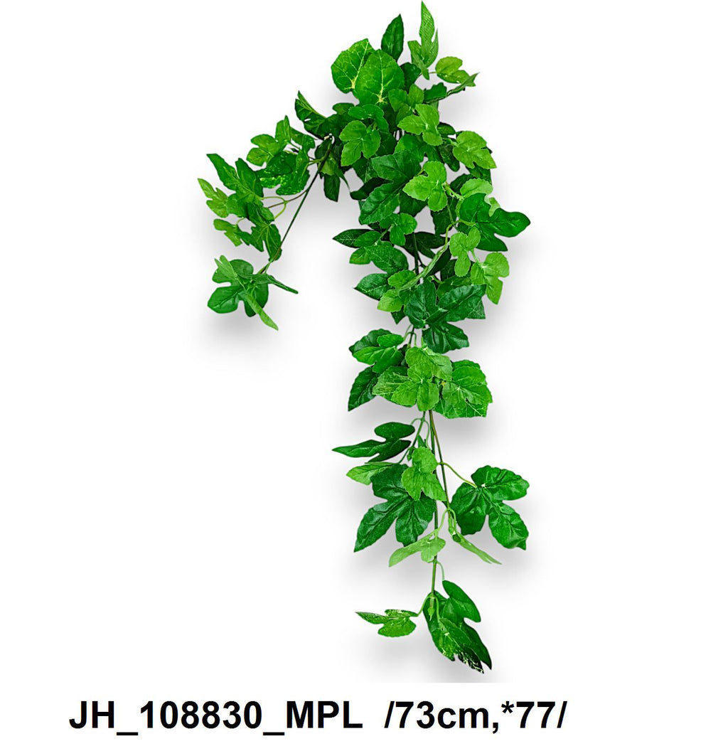 JH_108830_MPL