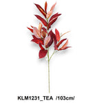 KLM1231_TEA