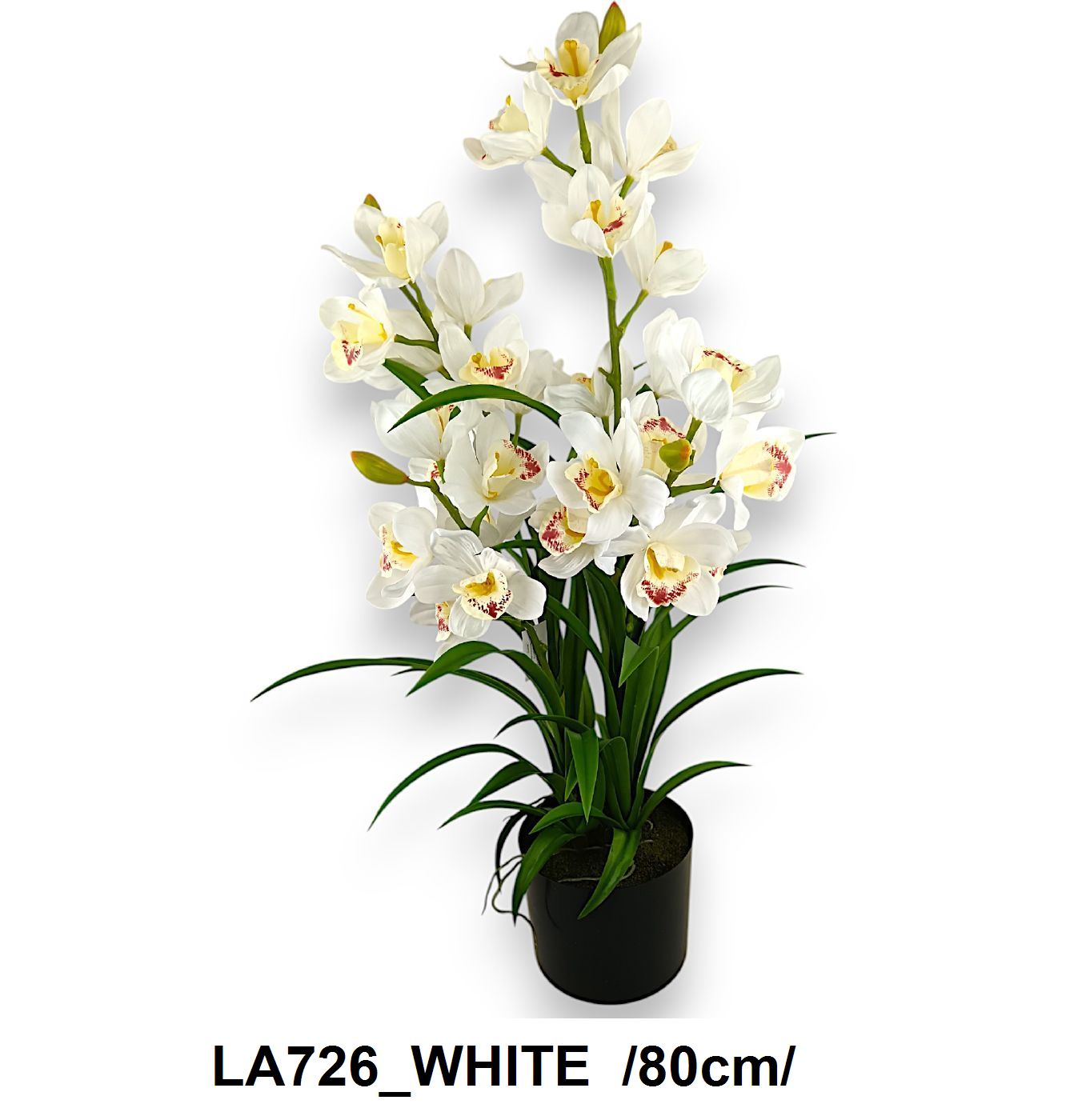 Cserepes orchidea /80cm/ Fő kép