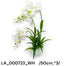 Kaspós vandaorchidea /50cm,*3/