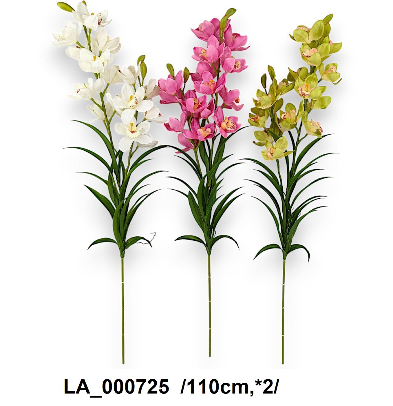 Kaspós vandaorchidea /50cm,*3/ Másodlagos kép