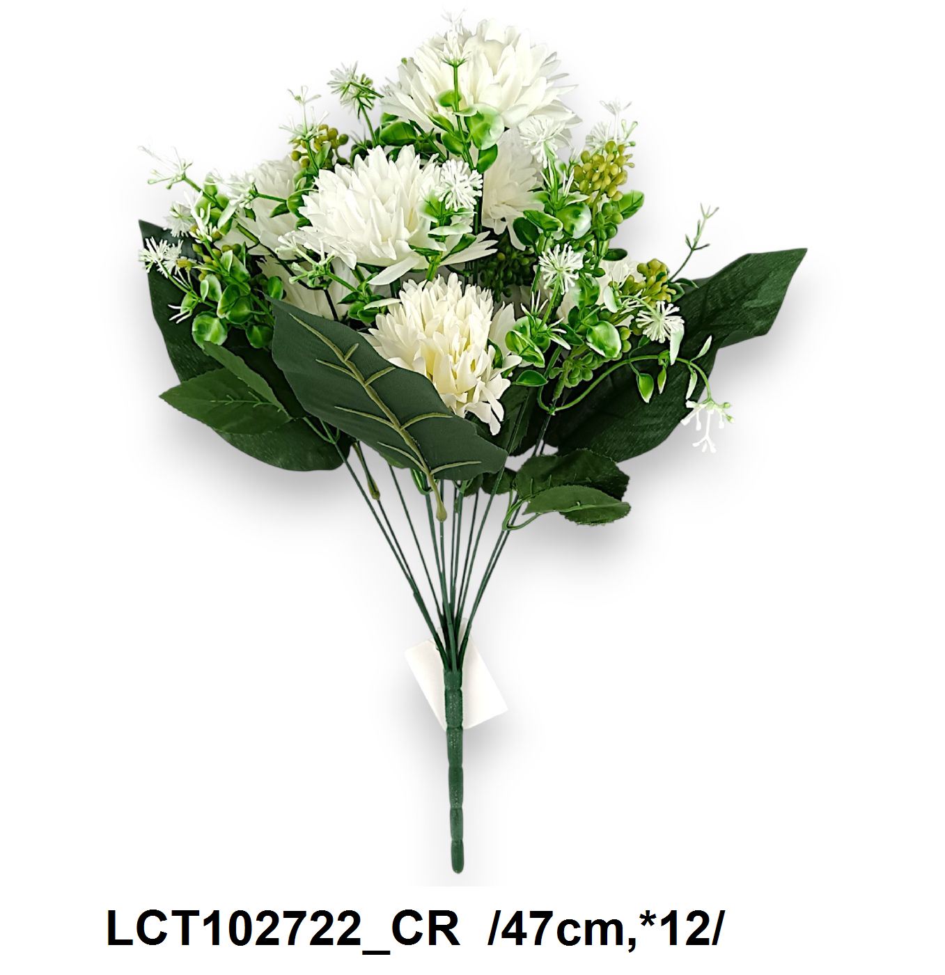 LCT102722_CR