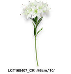 LCT168407_CR