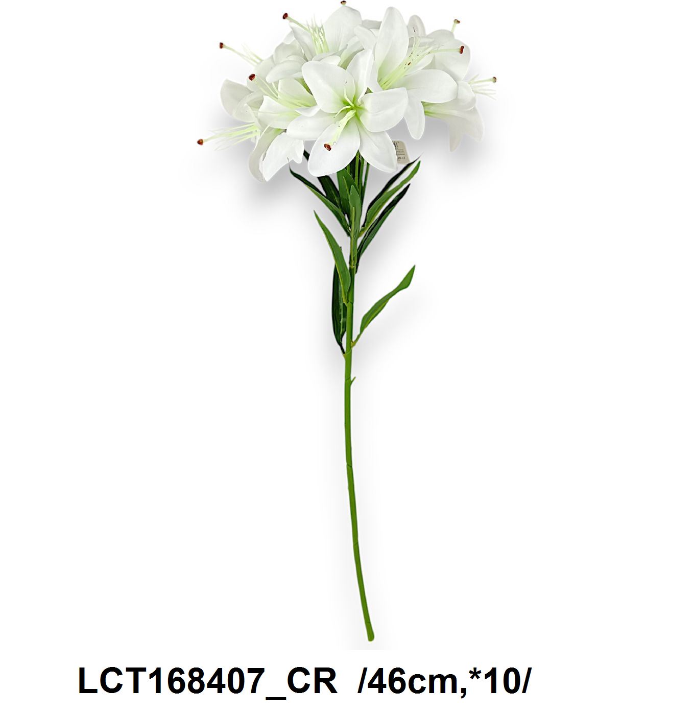 LCT168407_CR