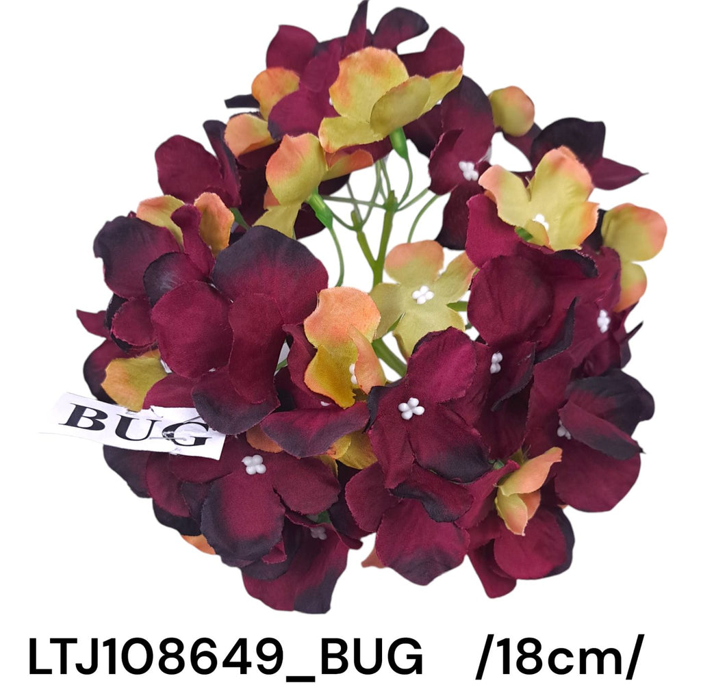 LTJ108649_BUG