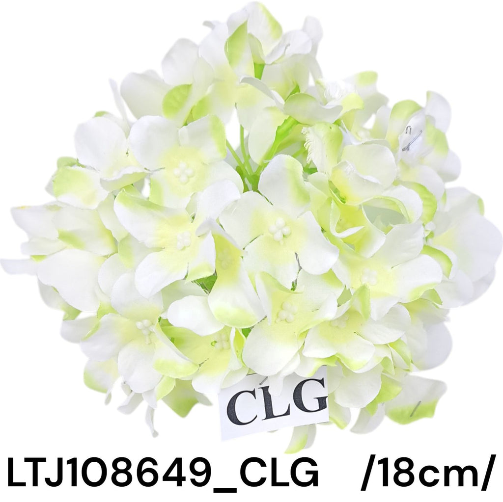 LTJ108649_CLG