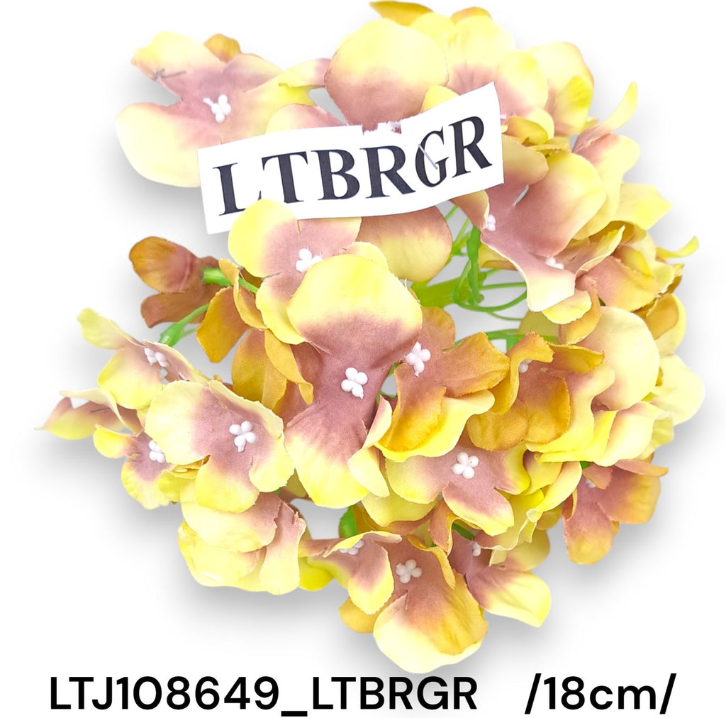 LTJ108649_LTBRGR