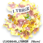 LTJ108649_LTBRGR