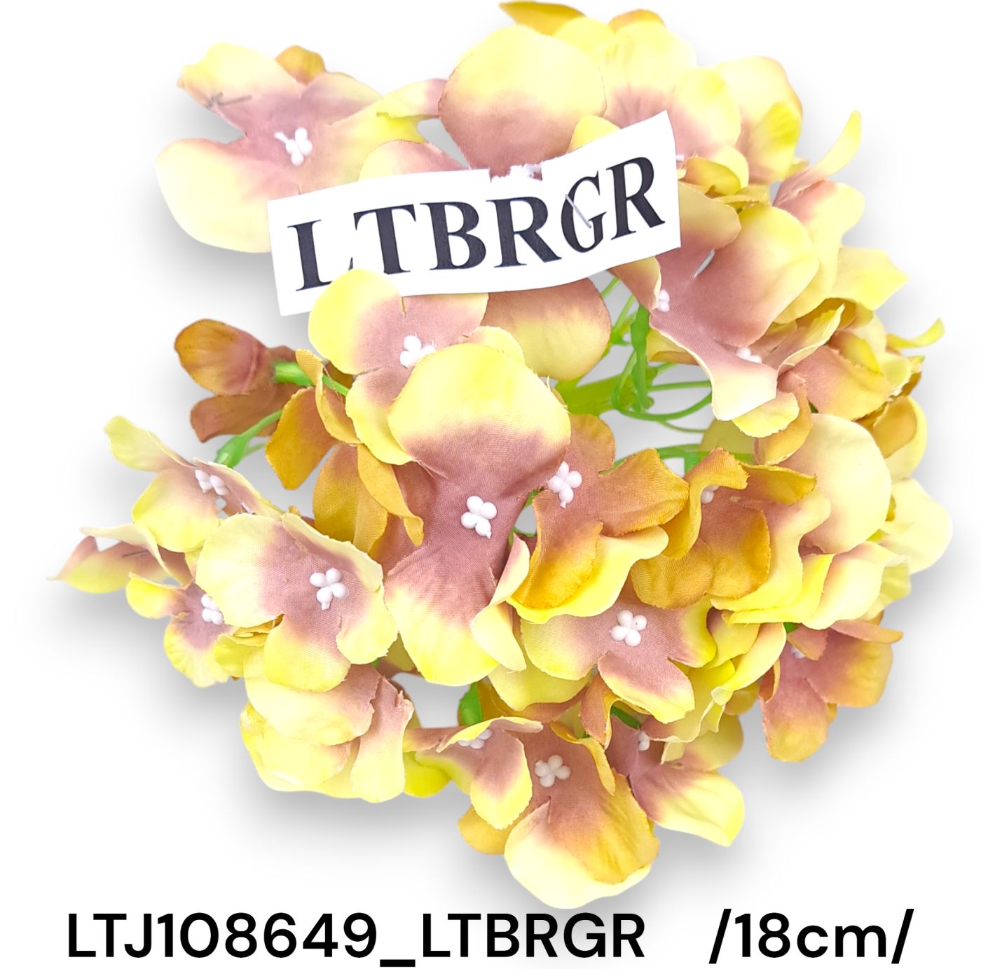 LTJ108649_LTBRGR