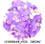 LTJ108649_PCG