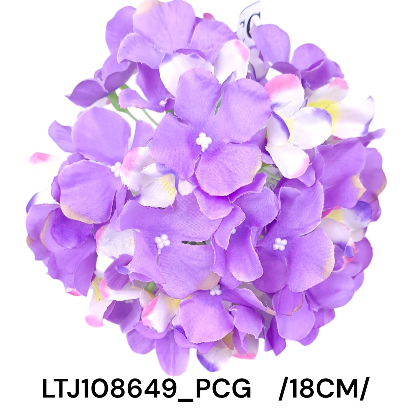 LTJ108649_PCG