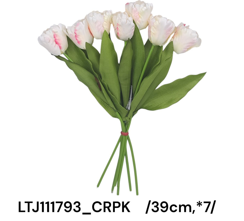 LTJ111793_CRPK